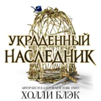 Холли Блэк. Украденный наследник