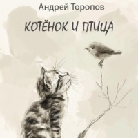 Андрей Торопов. Котёнок и Птица