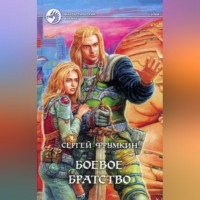 Сергей Фрумкин. Боевое Братство