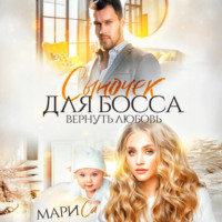 Мари Са. Сыночек для Босса. Вернуть любовь