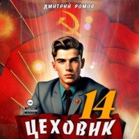. Цеховик. Книга 14. Воин света