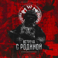 Александр Стрельников. Встреча с родиной