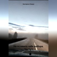 Екатерина Лакруа. Не оставить себе выбора. Часть 1