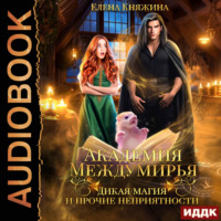 . Академия Междумирья. Дикая магия и прочие неприятности