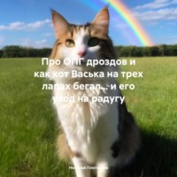 Николай Плотников. Про ОПГ дроздов и как кот Васька на трех лапах бегал… и его уход на радугу