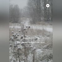 Андрей Николаевич Соколов. Неспящие. Беспокойная зима