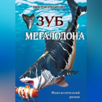 . ЗУБ МЕГАЛОДОНА