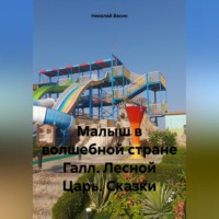 Николай Александрович Васин. Малыш в волшебной стране Галл. Лесной Царь. Сказки
