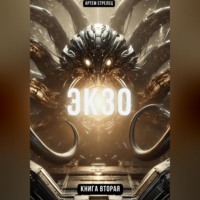Артем Стрелец. Экзо 2