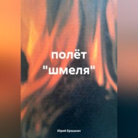Юрий Ерошкин. полёт «шмеля»