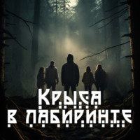 . Крыса в лабиринте
