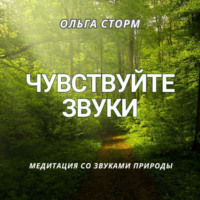 Ольга Сторм. Чувствуйте звуки. Медитация со звуками природы