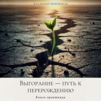 Владимир Микрюков. Выгорание – путь к перерождению