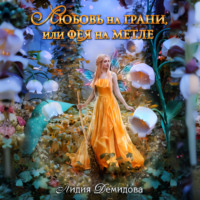. Любовь на грани, или Фея на метле