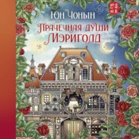 Юн Чонын. Прачечная души Мэриголд
