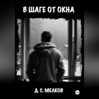 Дмитрий Сергеевич Мелков. В шаге от окна
