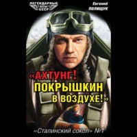 Евгений Полищук. «Ахтунг! Покрышкин в воздухе!». «Сталинский сокол» № 1