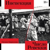 . Инспекция. Число Ревекки