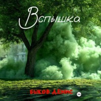 Денис Быков. Вспышка