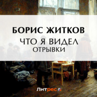 Борис Житков. Что я видел (отрывки)