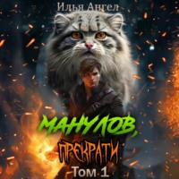 Илья Ангел. Манулов, прекрати!