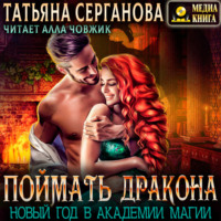 Татьяна Серганова. Поймать дракона. Новый год в Академии