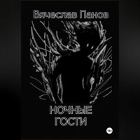 Вячеслав Владимирович Панов. Ночные гости