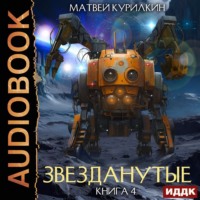 Матвей Курилкин. Звезданутые. Книга 4. Звезданутые в тылу врага