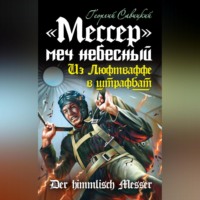 . «Мессер» – меч небесный. Из Люфтваффе в штрафбат