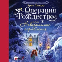 Арне Линдму. Операция «Рождество», или Невероятное ограбление
