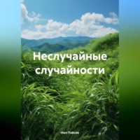 Нил Плёсов. Неслучайные случайности