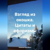 Владимир Иванович Баранчиков. Взгляд из окошка