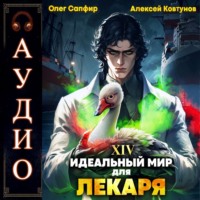 . Идеальный мир для Лекаря 14