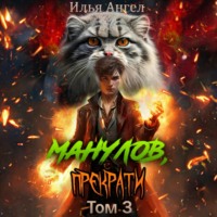 Илья Ангел. Манулов, прекрати! Том 3