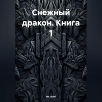 Mr. Sidni. Снежный дракон Книга 1