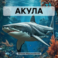 Евгения Марцишевская. АКУЛА