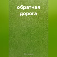 Юрий Ерошкин. обратная дорога