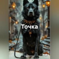 Аида Христенко. Точка