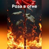 Даниил Ерохин. Роза в огне