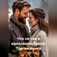Агата Богатая. Что не так в идеальном браке. Третья книга