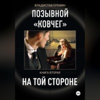 Владислав Еремин. Позывной Ковчег. Книга вторая. На той стороне