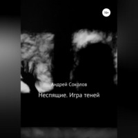 Андрей Николаевич Соколов. Неспящие. Игра теней