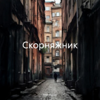 Реми Медьяр. Скорняжник