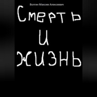 Максим Алексеевич Волгин. Смерть и жизнь