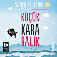 Samed Behrengi. Küçük Kara Balik