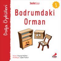 . Kır Öyküleri – Bodrumdaki orman