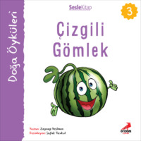 Zeynep Yeşilmen. Kır Öyküleri – Çizgili gömlek