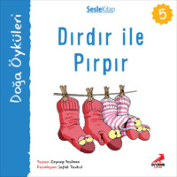 Zeynep Yeşilmen. Kır Öyküleri – Dırdır ile pırpır