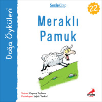 . Kır Öyküleri – Meraklı pamuk
