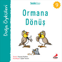 . Kır Öyküleri – Ormana dönüş